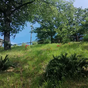 Clara's Garden Ponte della Venturina
